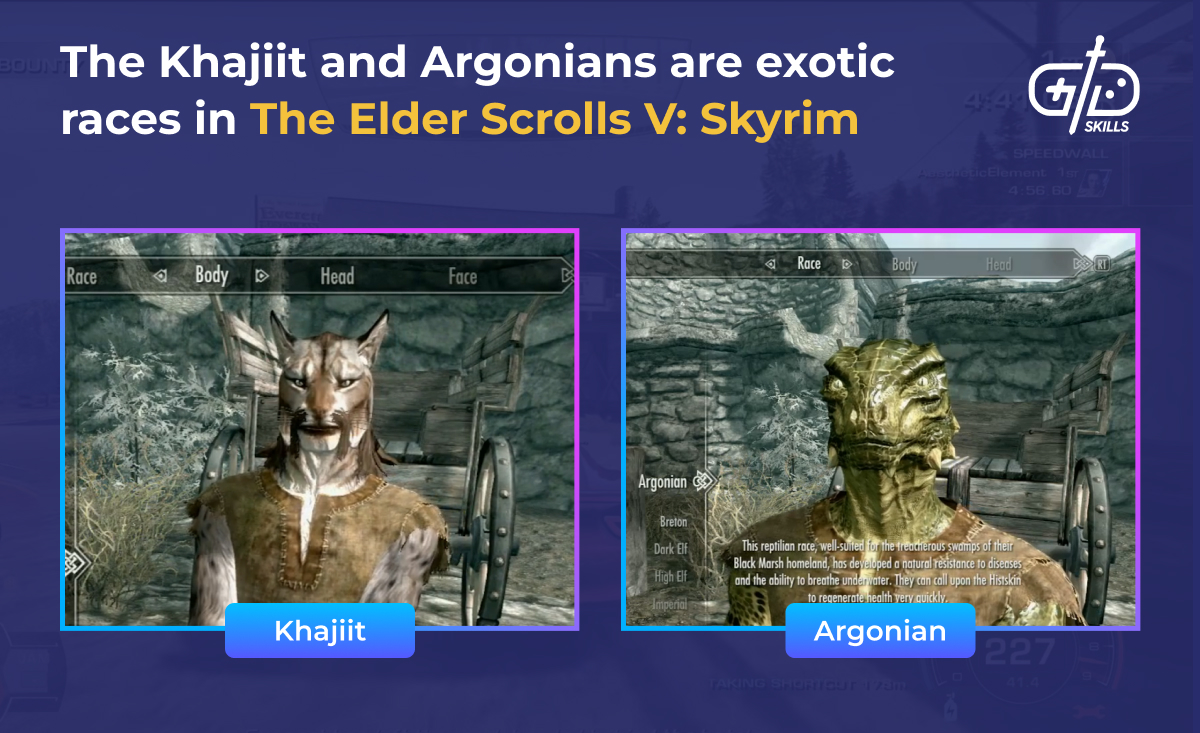 Khajit and Argonian exotic races in Skyrim