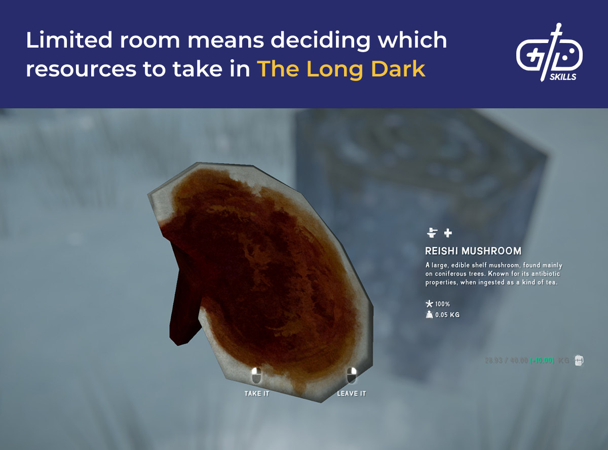 Resource management in The Long Dark