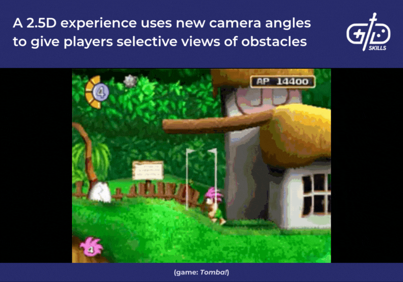 2.5D games like Tomba! offer selective views of obstacles