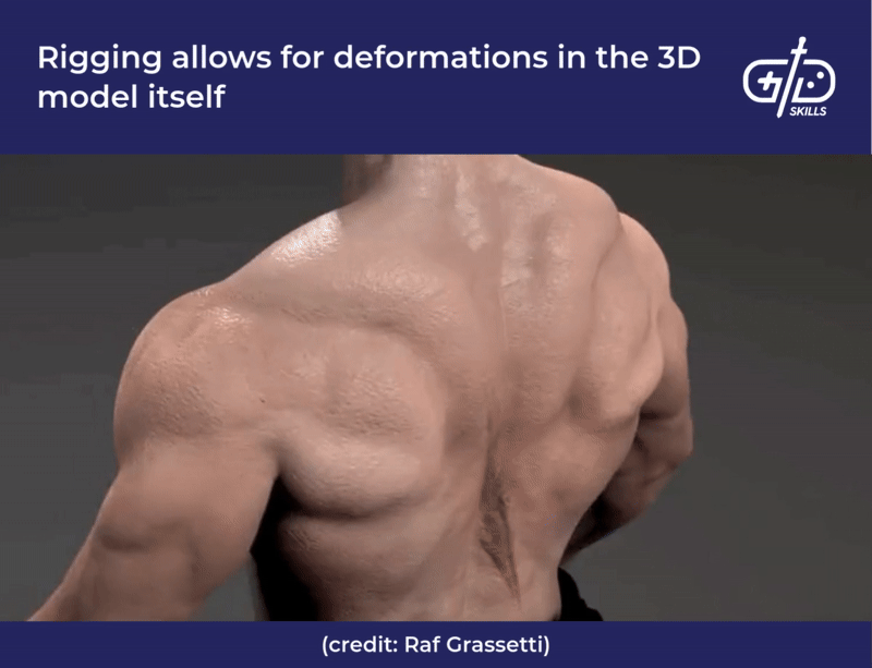 Rigging allows for deformations in the 3D model itself