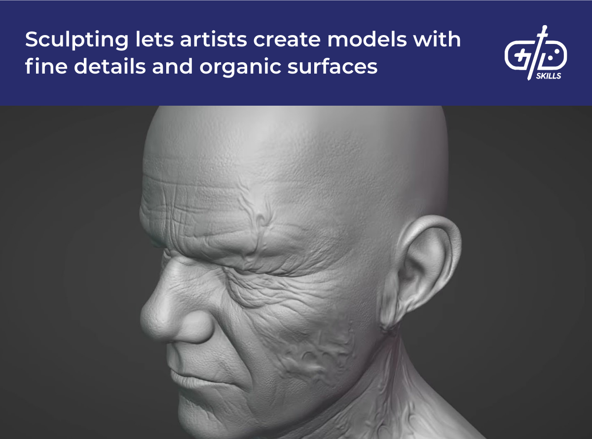 Sculpting lets artists create models with fine details and organic surfaces