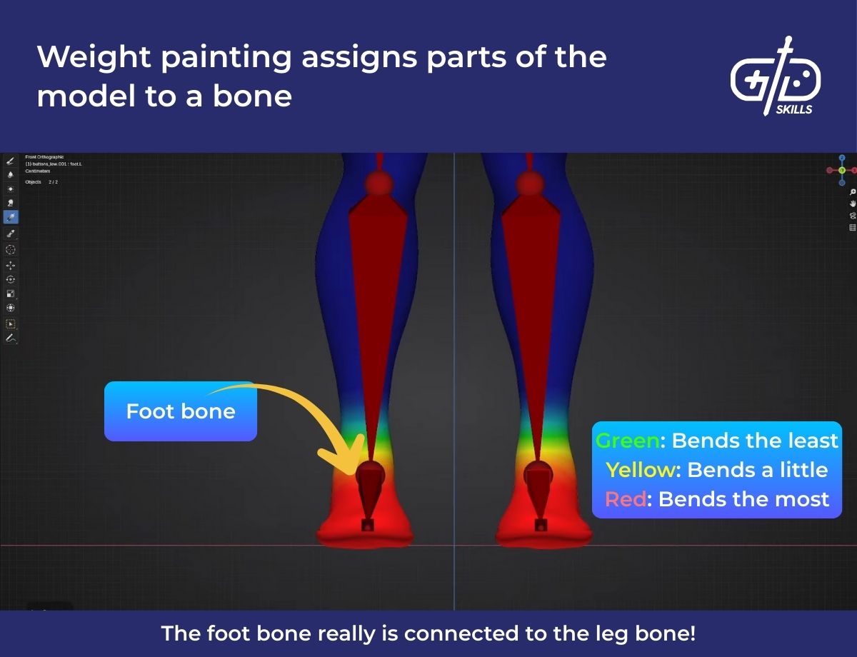 Weight painting assigns parts of the model to a bone