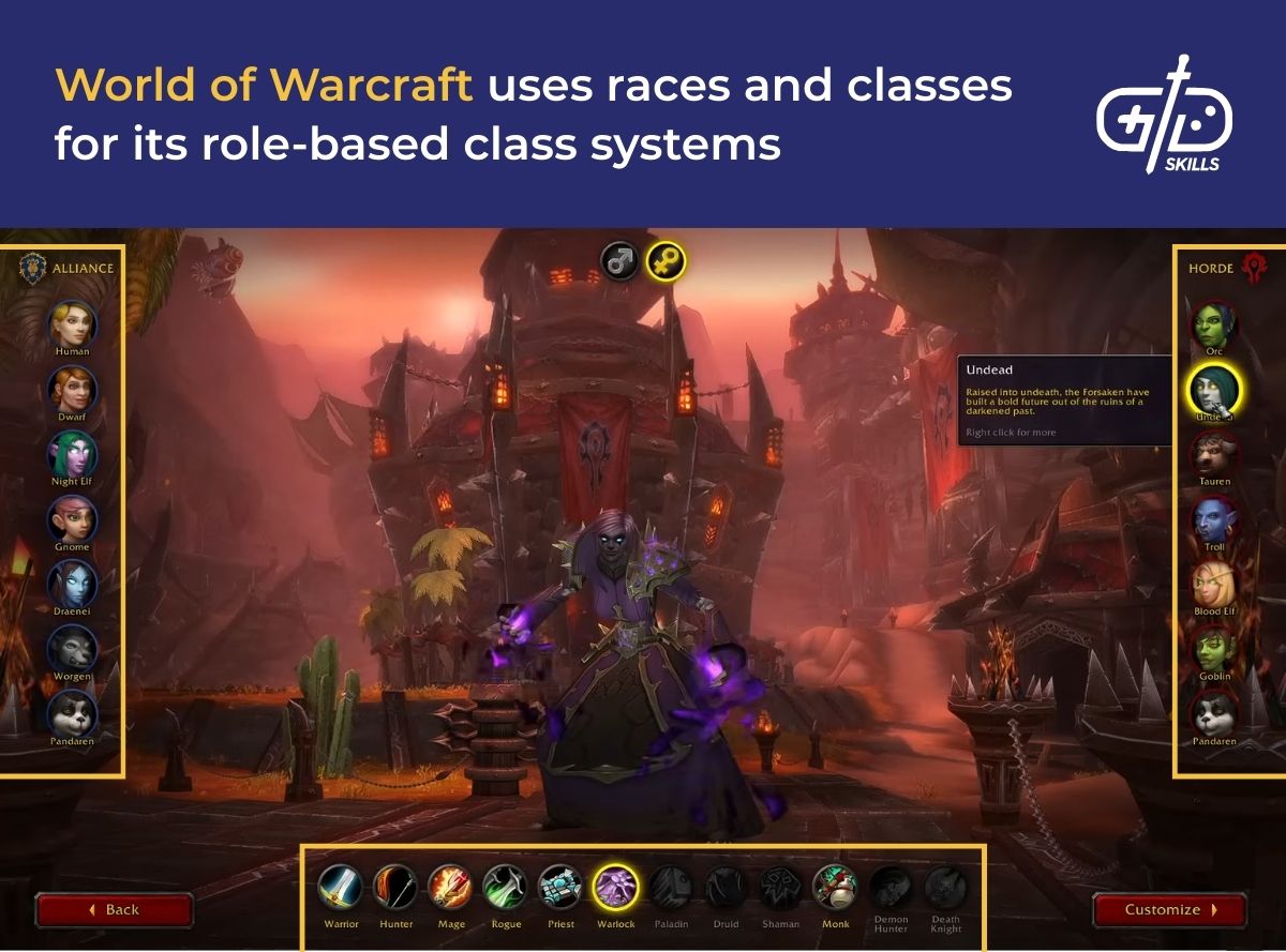 WoW uses races and classes for its role-based class systems